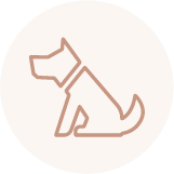 ゆったり過ごせるケージフリー