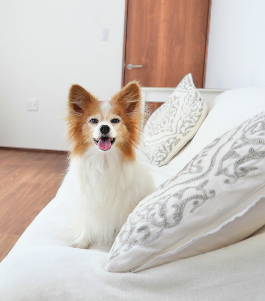 ホテルについて