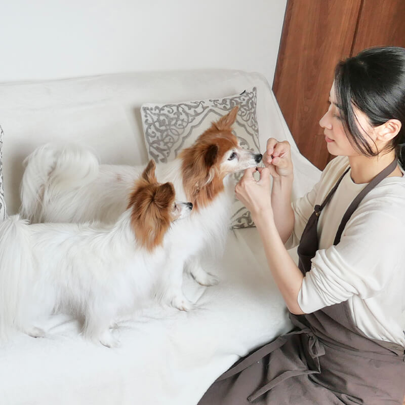 Dogcare&hotel Wantoo