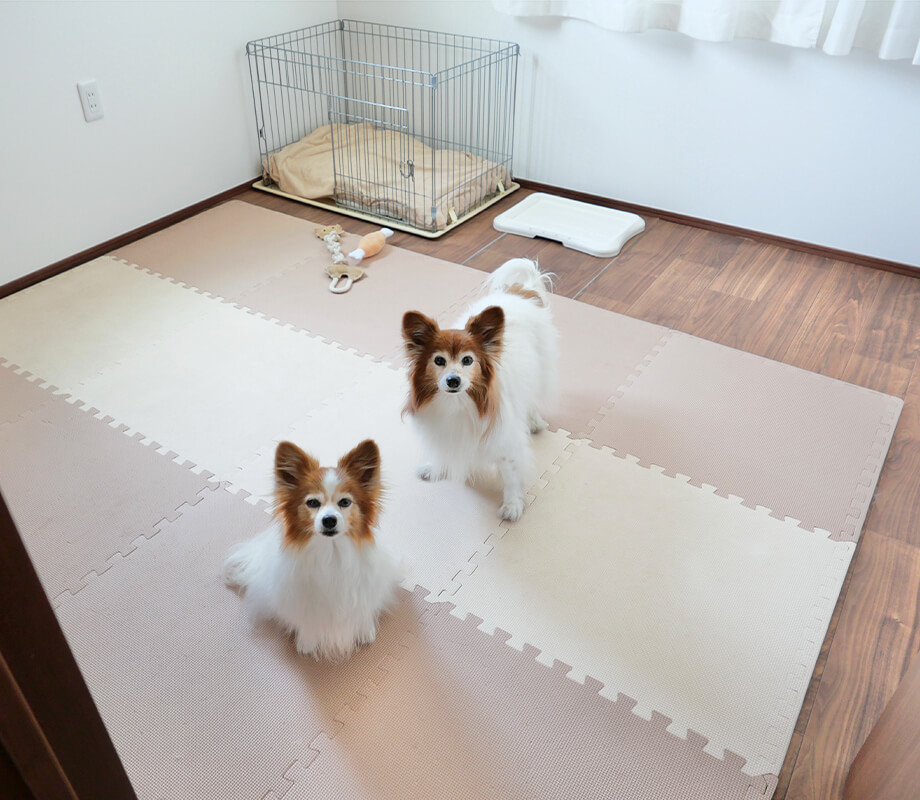 スイートルーム