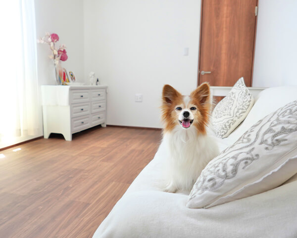 アットホームな空間