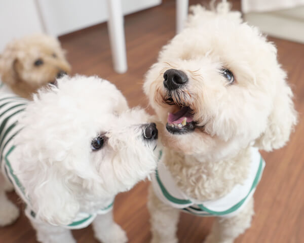 丁寧に寄り添うケア